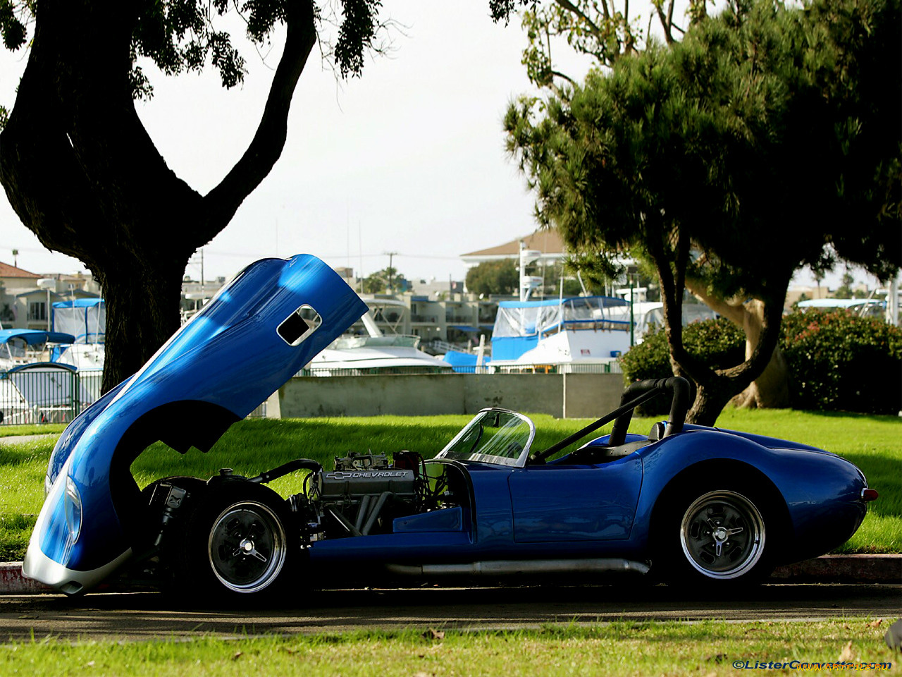 , ac, cobra, shelby